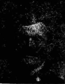 Stephen wood