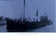 Labrador CREDIT: adamsandmannancestors.blogspot.com